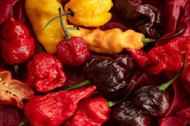 20 Most Spiciest Chili Peppers Found in the World – FoodMaggu